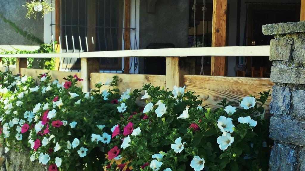 Appartamento Le Chalet Albosaggia Bagian luar foto